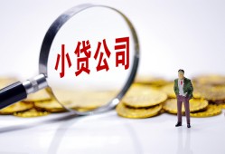 长沙个人哪里可以小额贷款-长沙个人私人私人借贷-长沙个人无抵押私人贷款